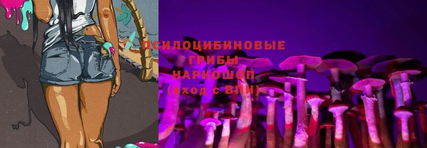 тгк Инта