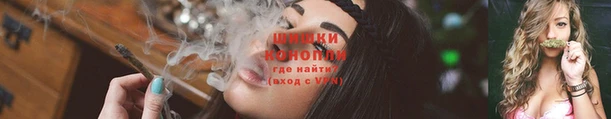 тгк Инта