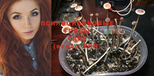 тгк Иннополис