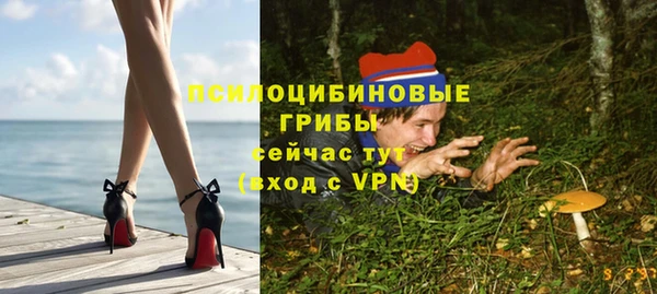 тгк Иннополис