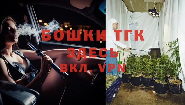 тгк Инта